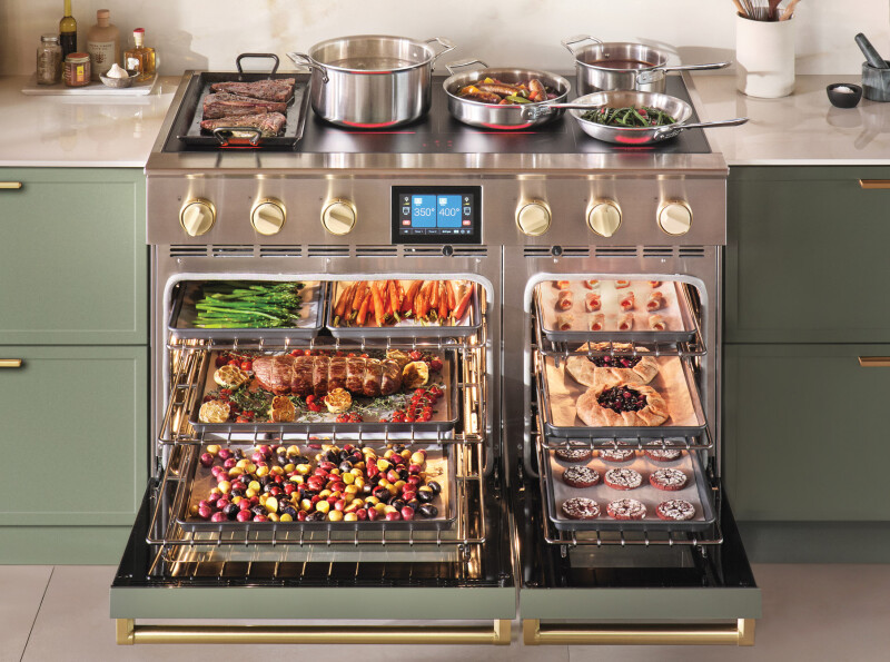 48″ Platinum Induction BSPIR486Z