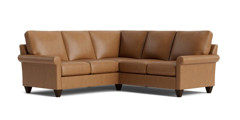 True Custom™ True Custom® Leather Roll Arm L-Shaped Sectional C100L4161SFLKIT53
