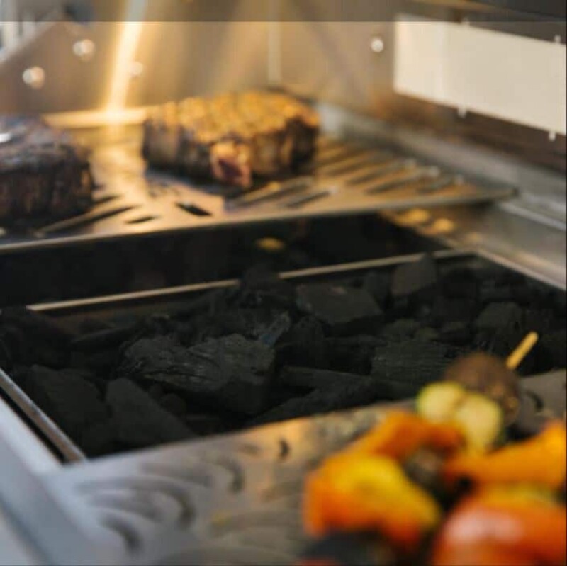 Charcoal Tray view 2