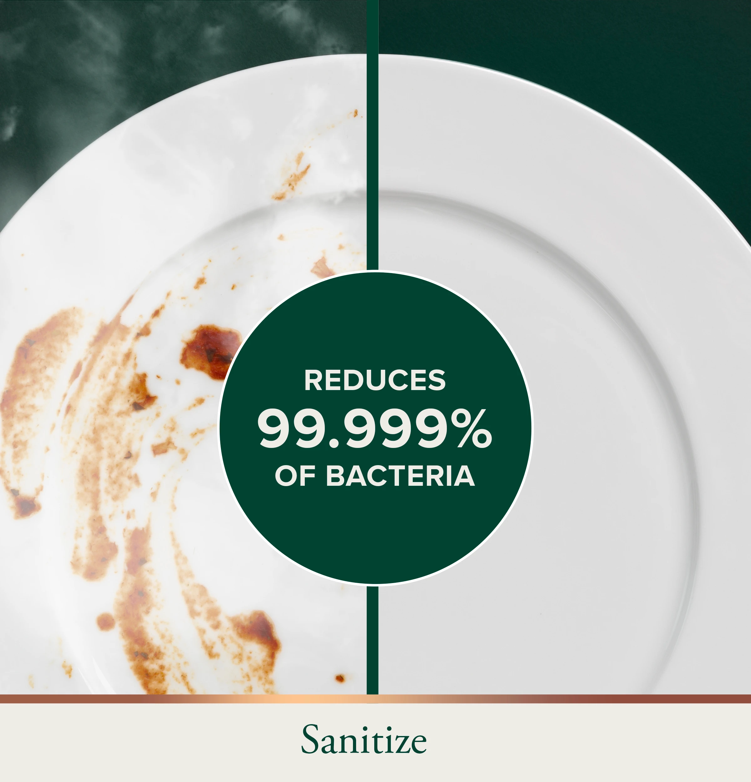 Sanitize