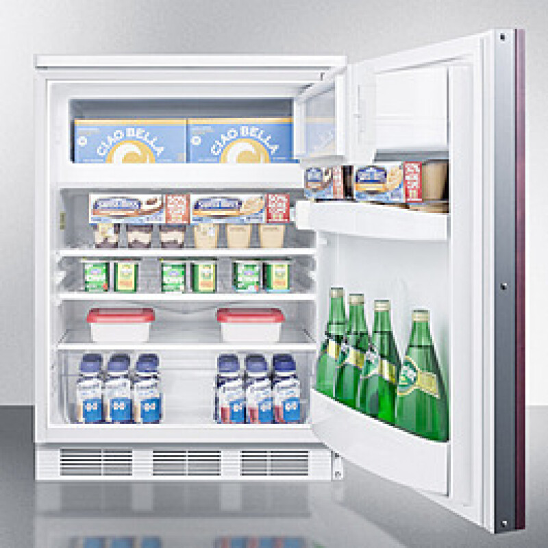 24" Wide Built-In Refrigerator-Freezer (Panel Not Included) CT66LWBIIF