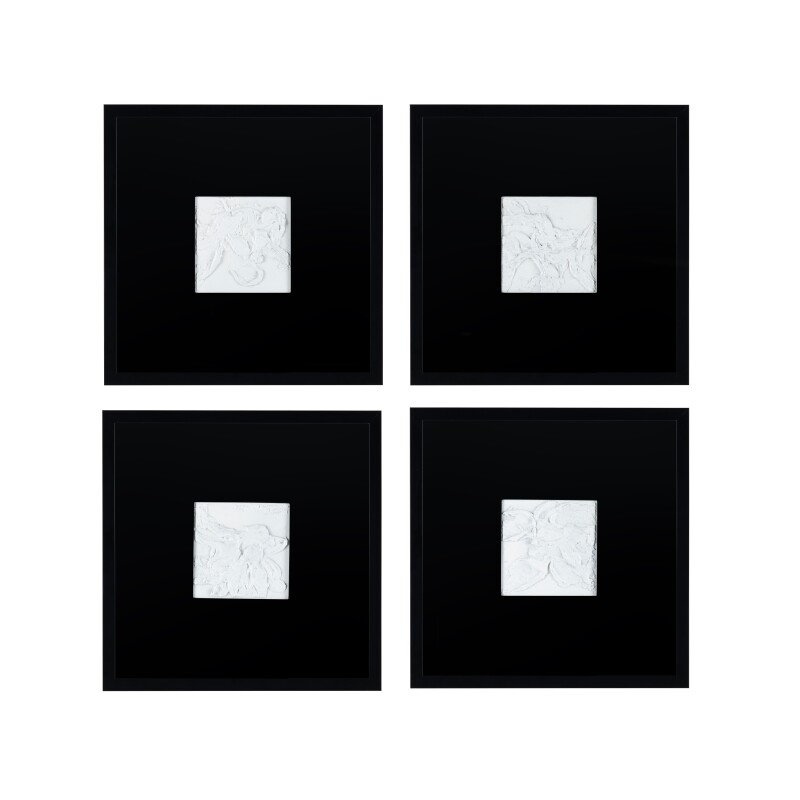 Study In Black And White CVBZWF133
