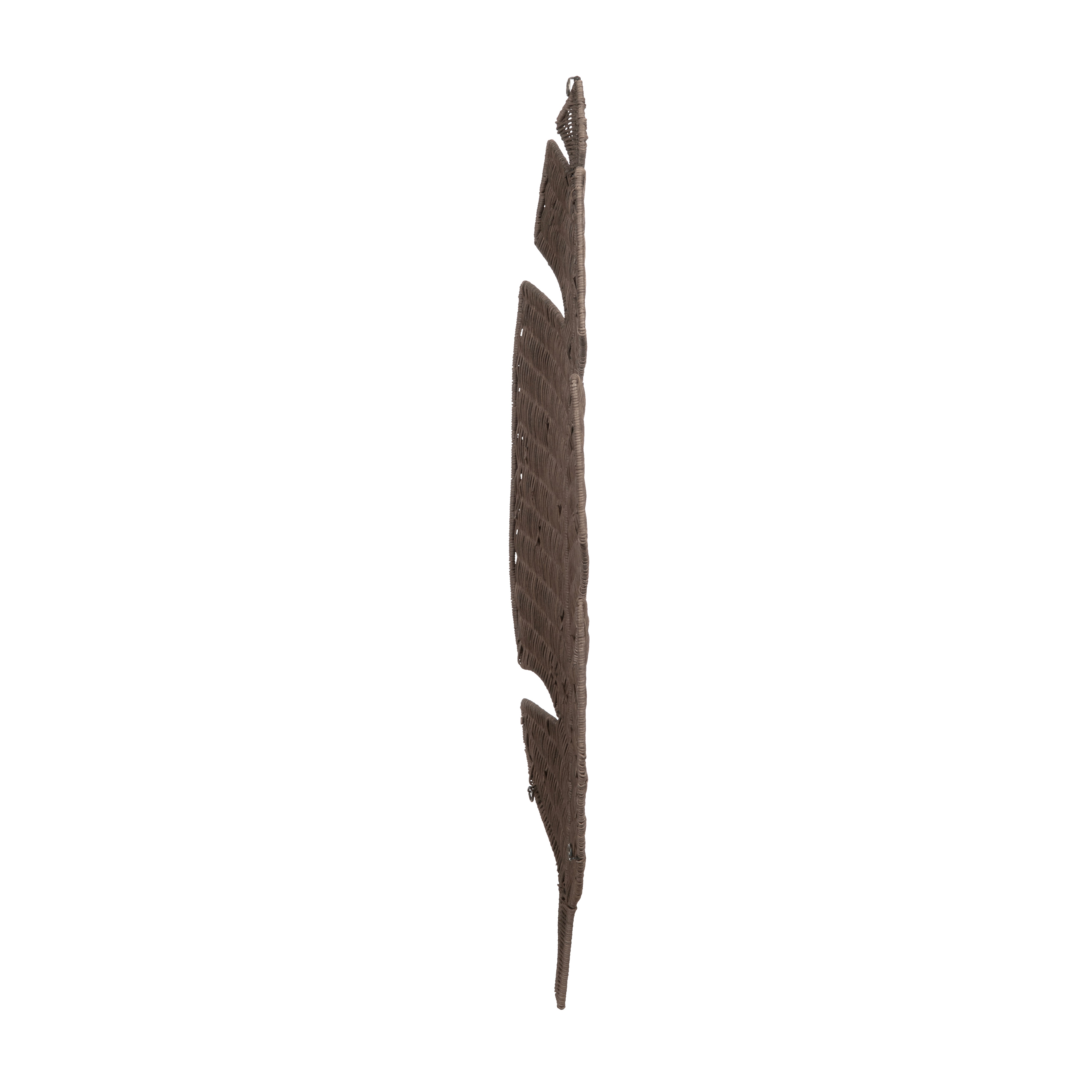 Coastal Palm CVBZWF163C