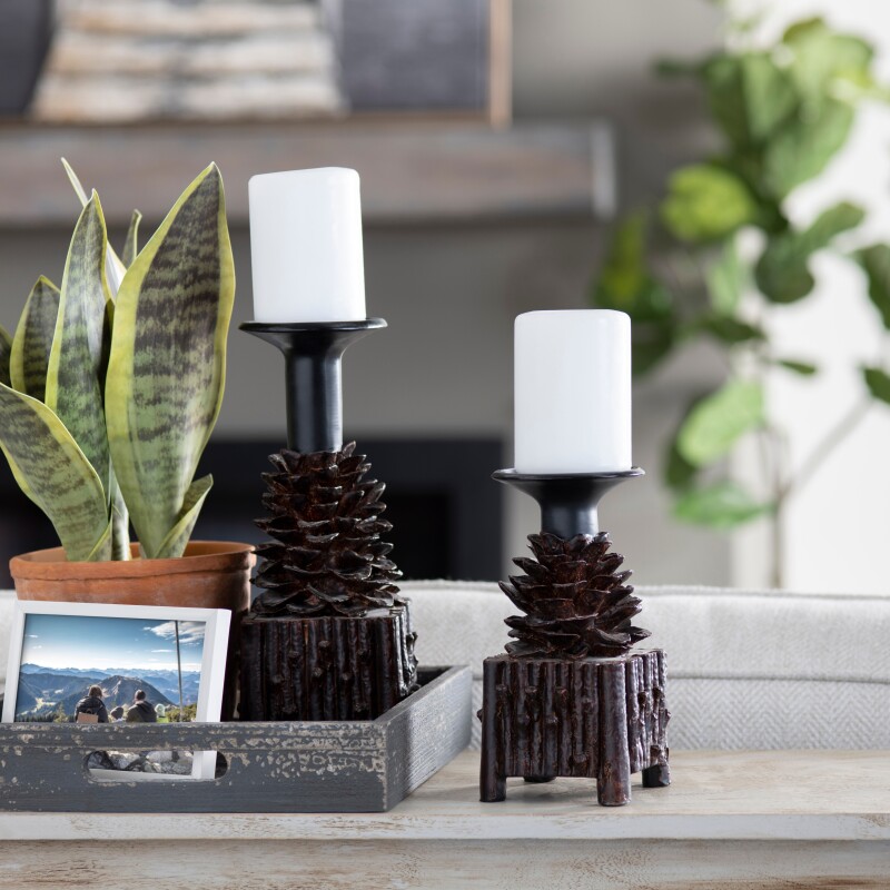 Pinola Candleholders CVCHD694