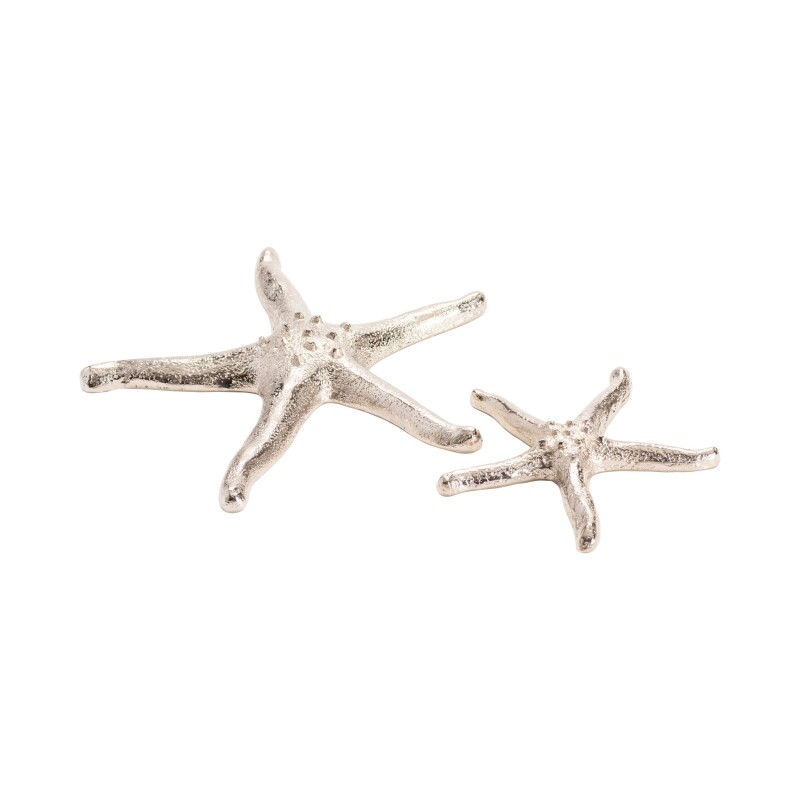Silver Starfish CVDEN061