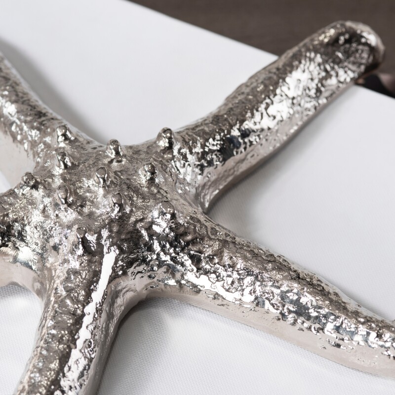 Silver Starfish CVDEN061