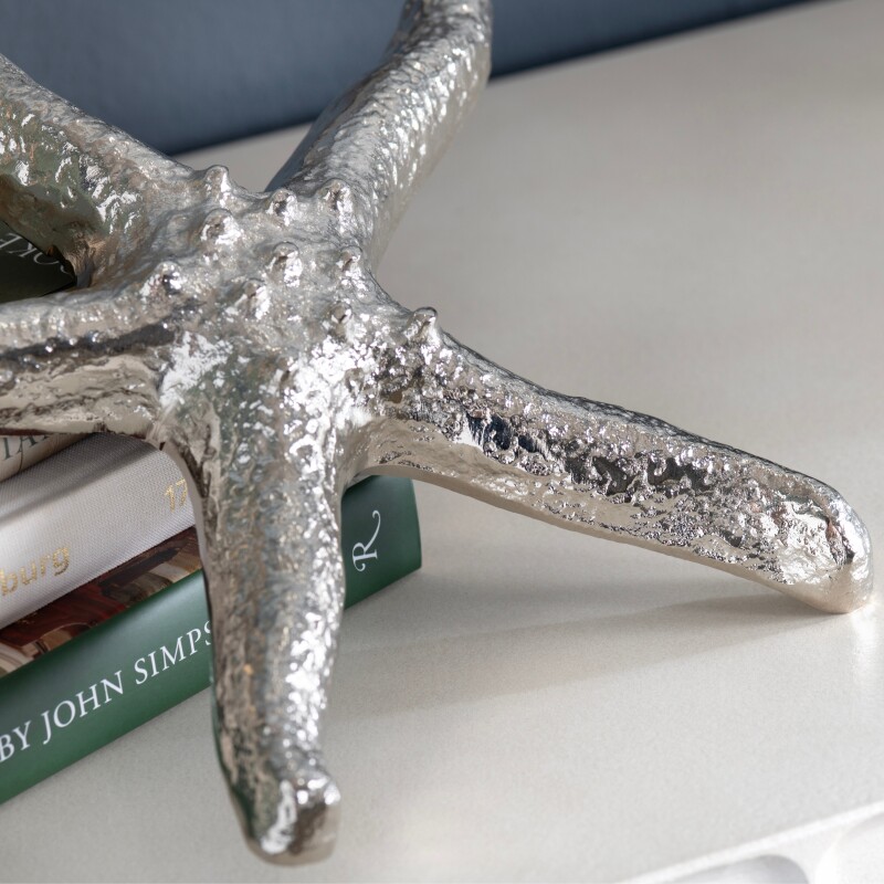 Silver Starfish CVDEN061