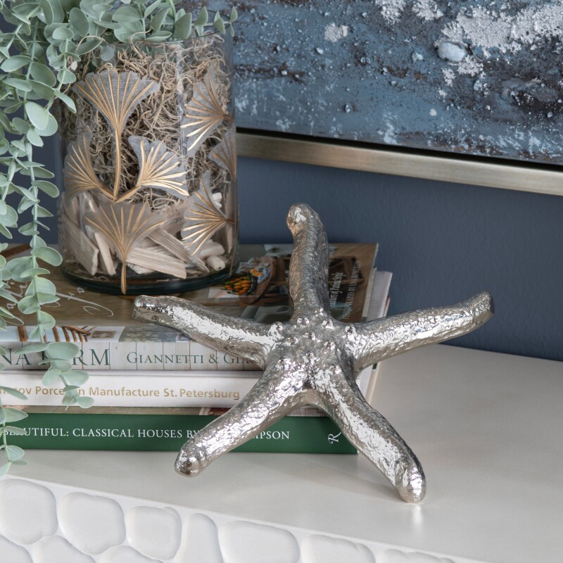 Silver Starfish CVDEN061