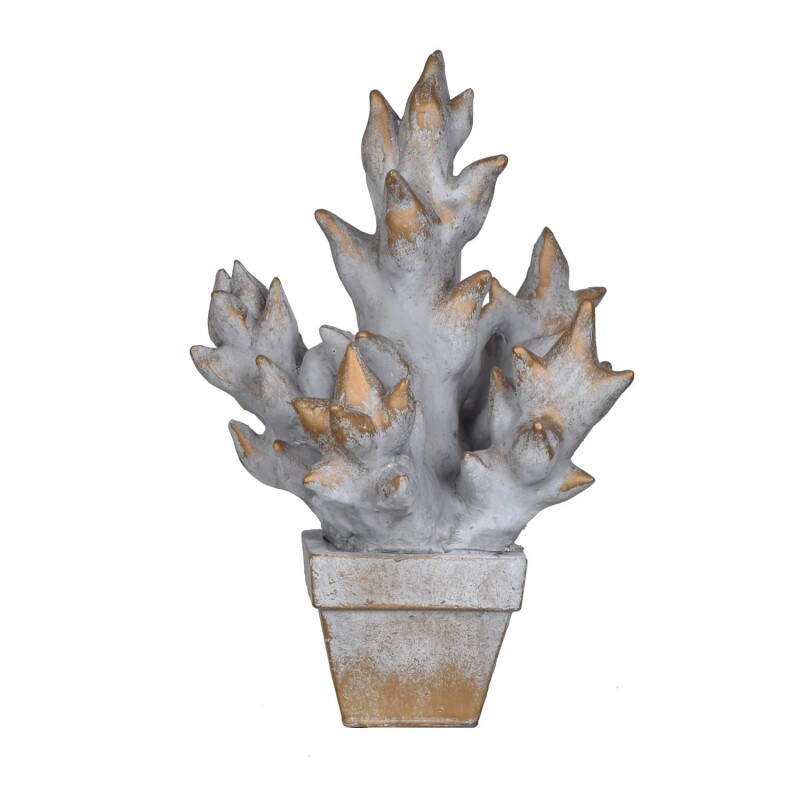 Succulent Pot Culture CVDEP1022