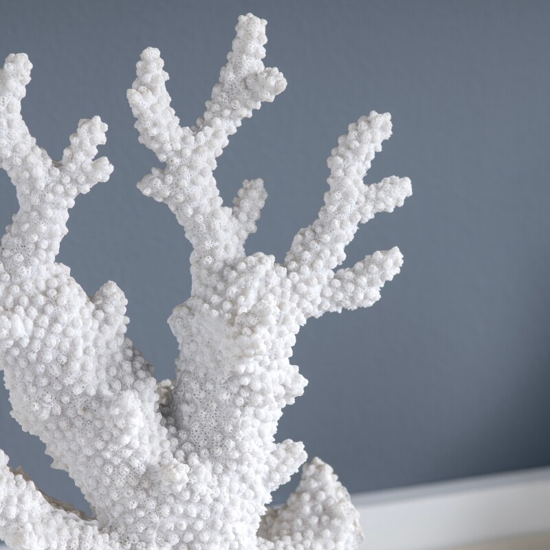 Natural Coral Statue CVDEP727