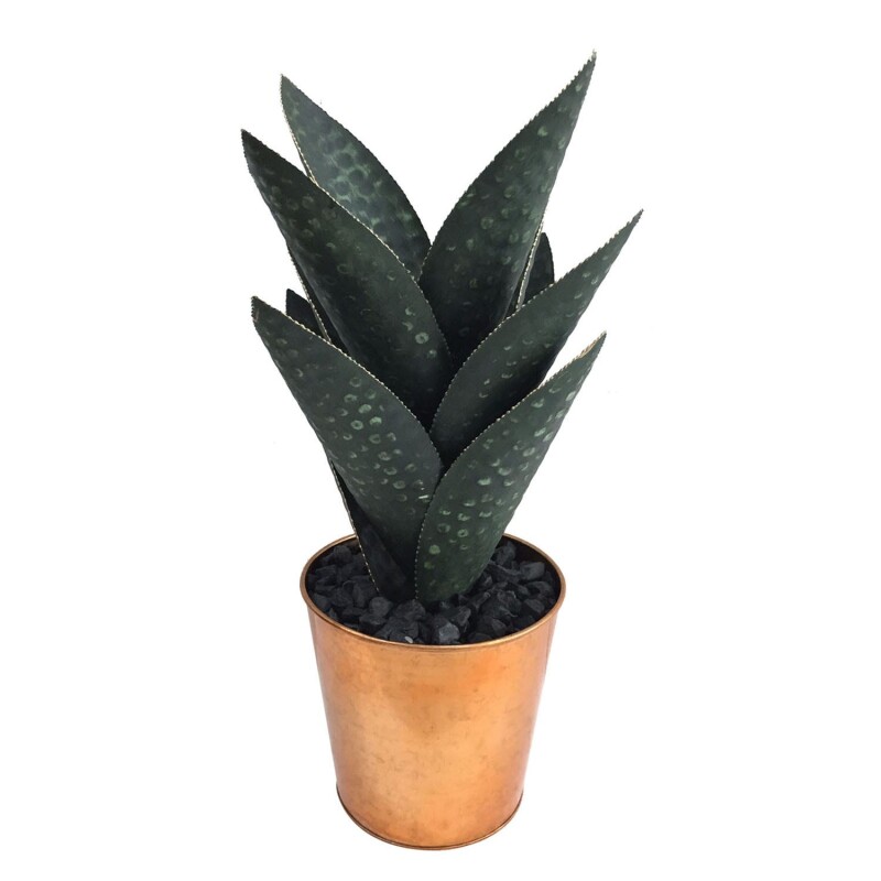 Medium Oasis Hand Finished Cactus CVDZEN027M