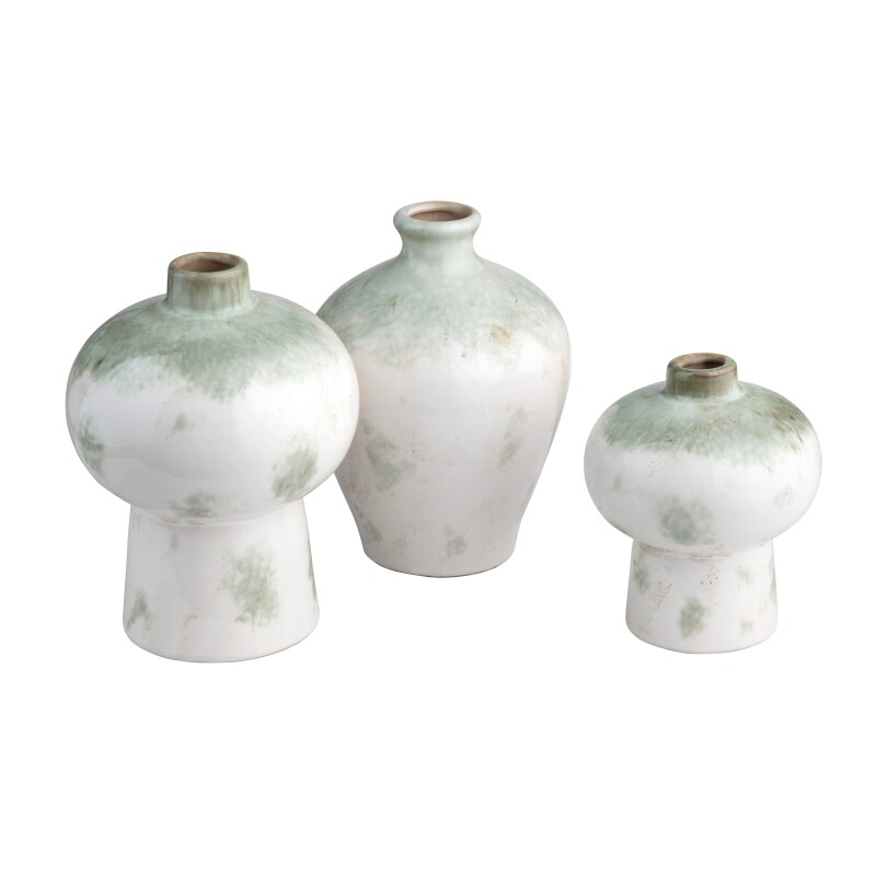 Ivy Vases & Tray CVDZEP032