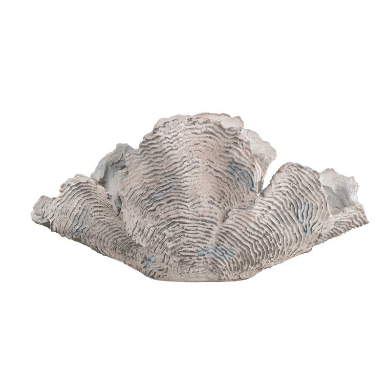 Deacon Coral Sculpture CVDZEP048S