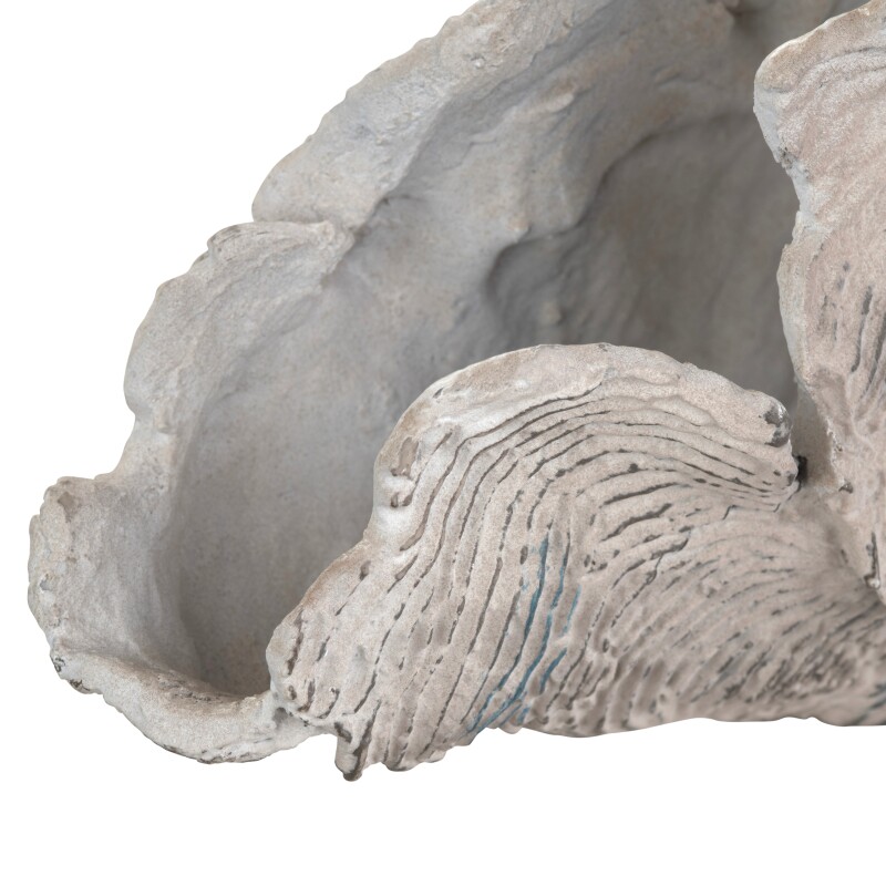 Deacon Coral Sculpture CVDZEP048S