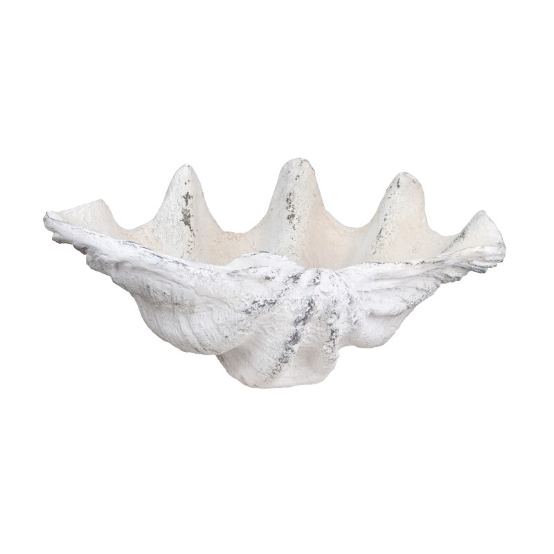 Henley Shell Sculpture CVDZEP049