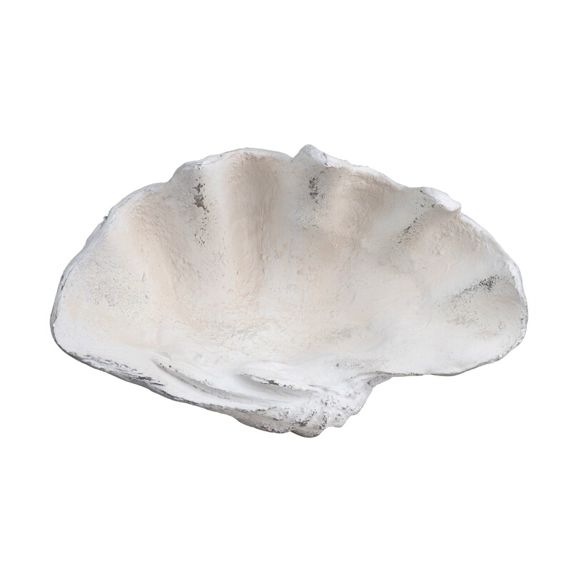 Henley Shell Sculpture CVDZEP049
