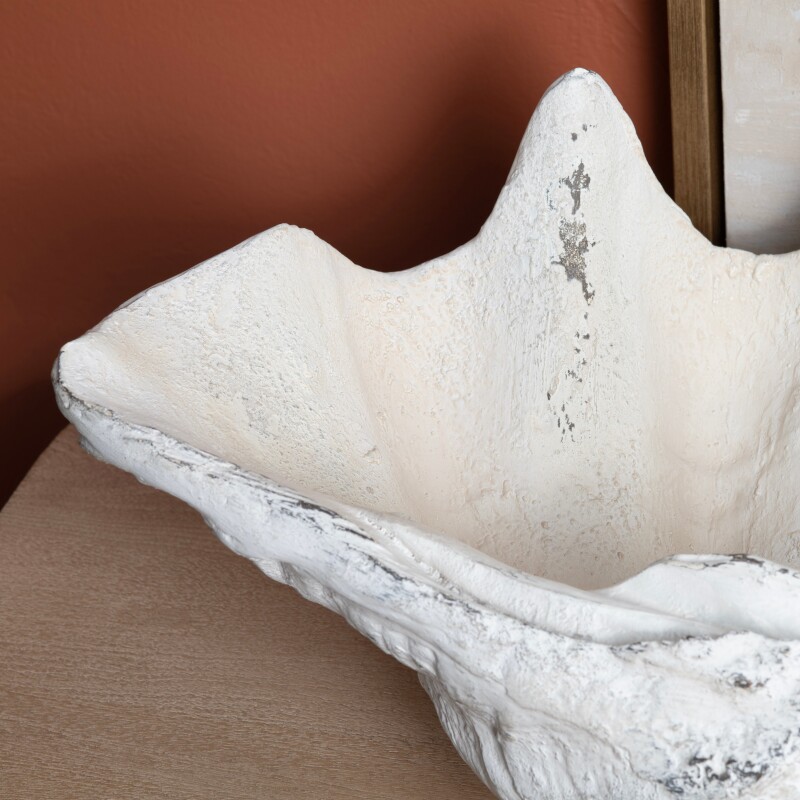 Henley Shell Sculpture CVDZEP049