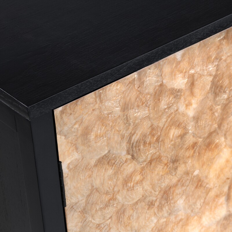 Cayman Capiz Shell 2 Door Cabinet CVFDR1026