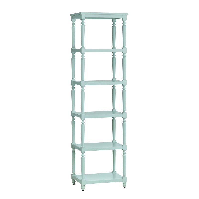 Evermore 5 Shelf Turquoise Etagere CVFDR1029