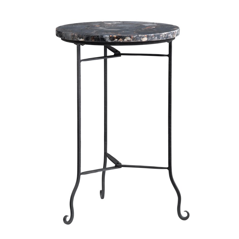 Pennington Petrified Wood Accent Table CVFNR4599