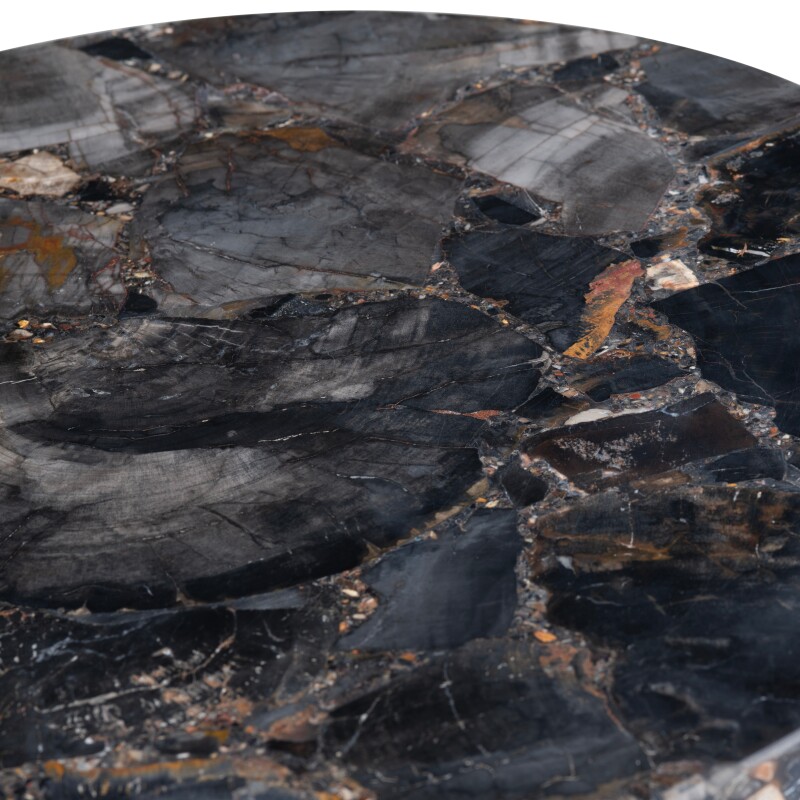 Pennington Petrified Wood Accent Table CVFNR4599