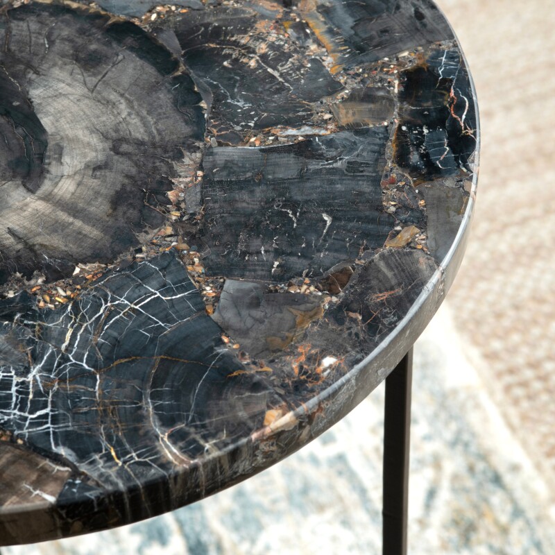 Pennington Petrified Wood Accent Table CVFNR4599