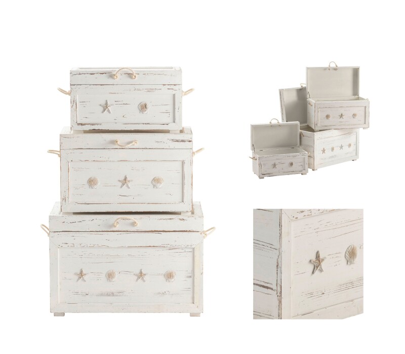 Seaside Trunks CVFZR1551