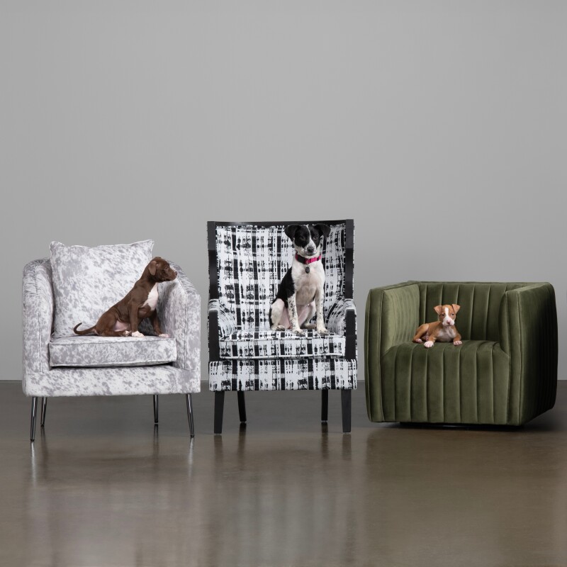 Kimble Accent Chair CVFZR6153