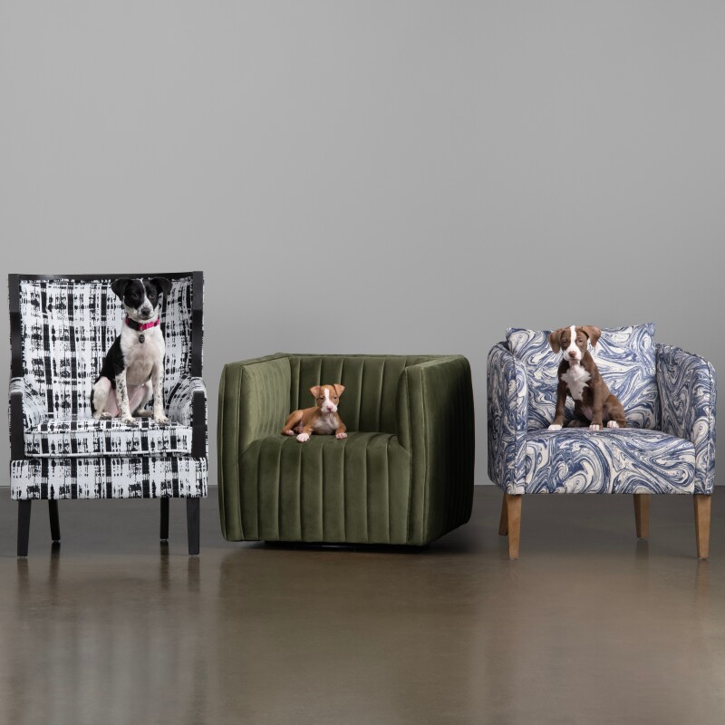 Leary Accent Chair CVFZR6156
