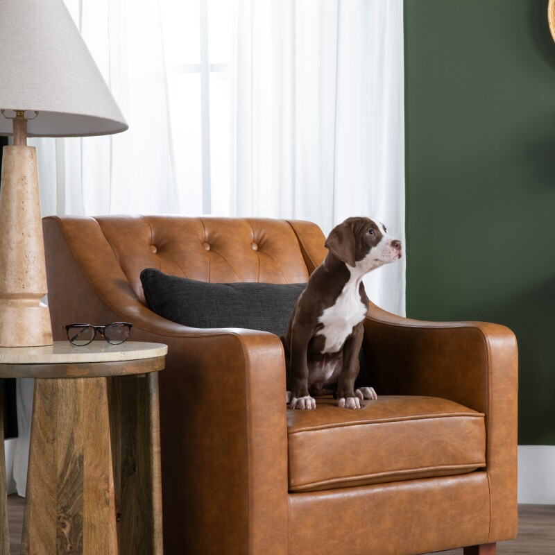 Harmon Accent Chair CVFZR6166