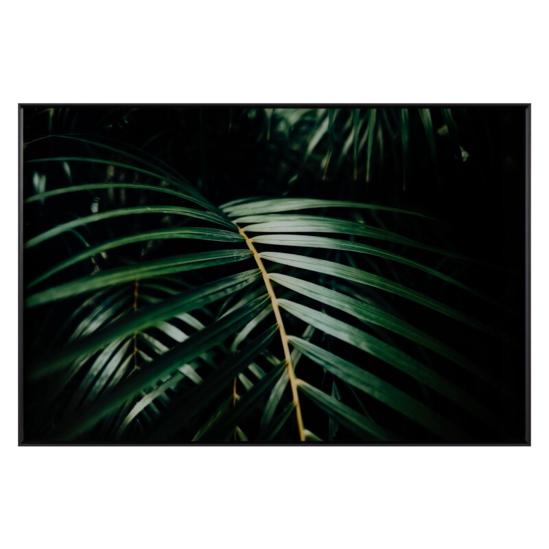 Safari Leaves 2 CVTOP3266