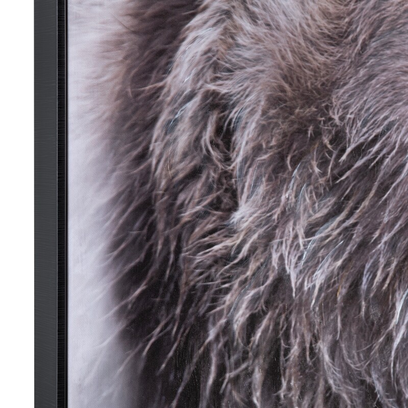 Bear's Den CVTOP3268