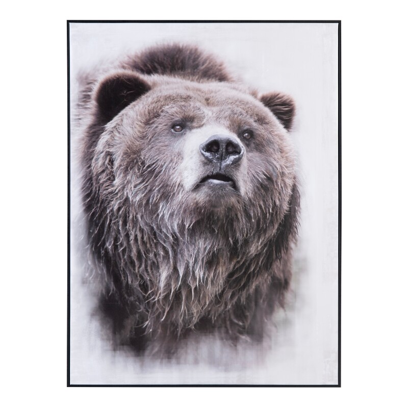 Bear's Den CVTOP3268