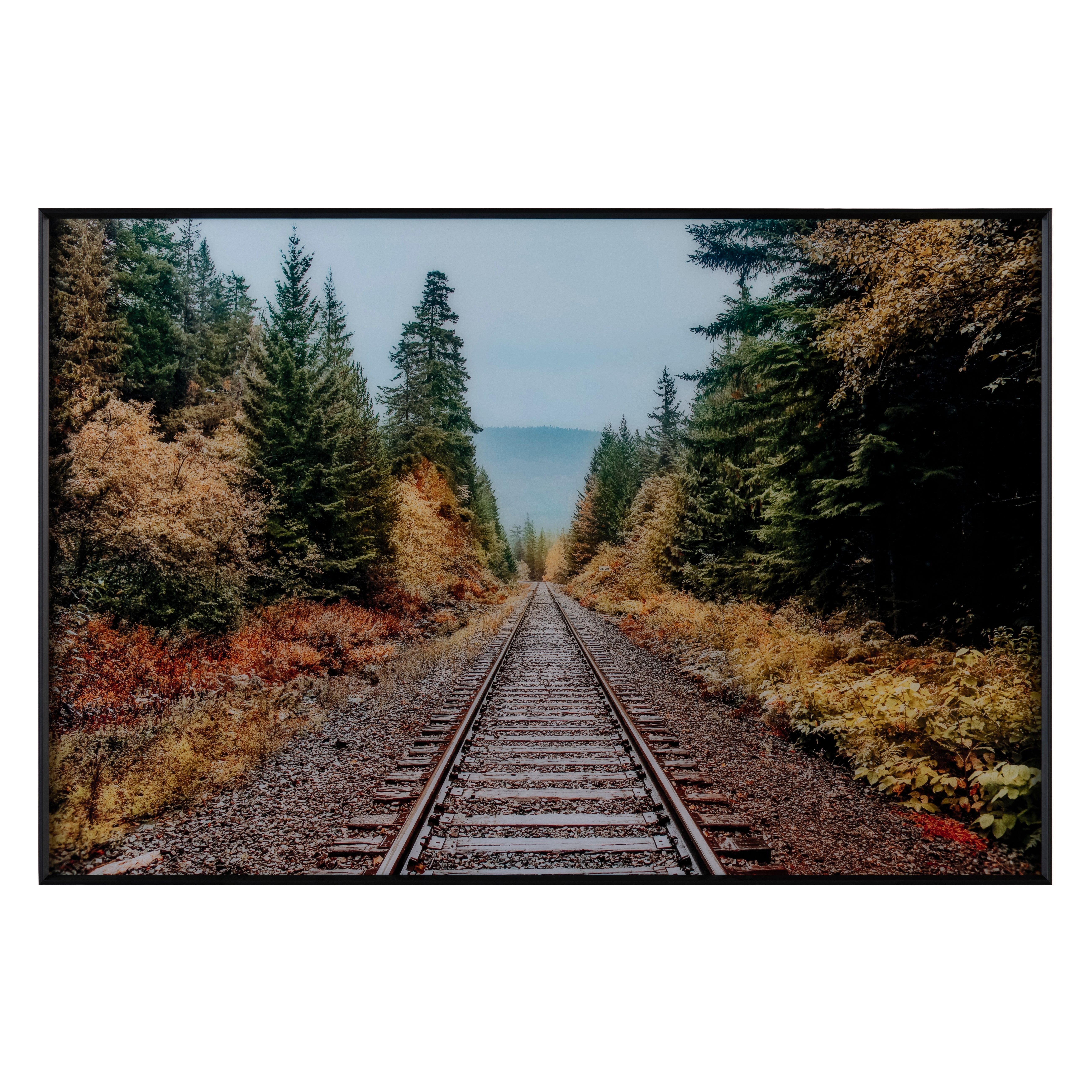 Autumn Tracks CVTOP3278
