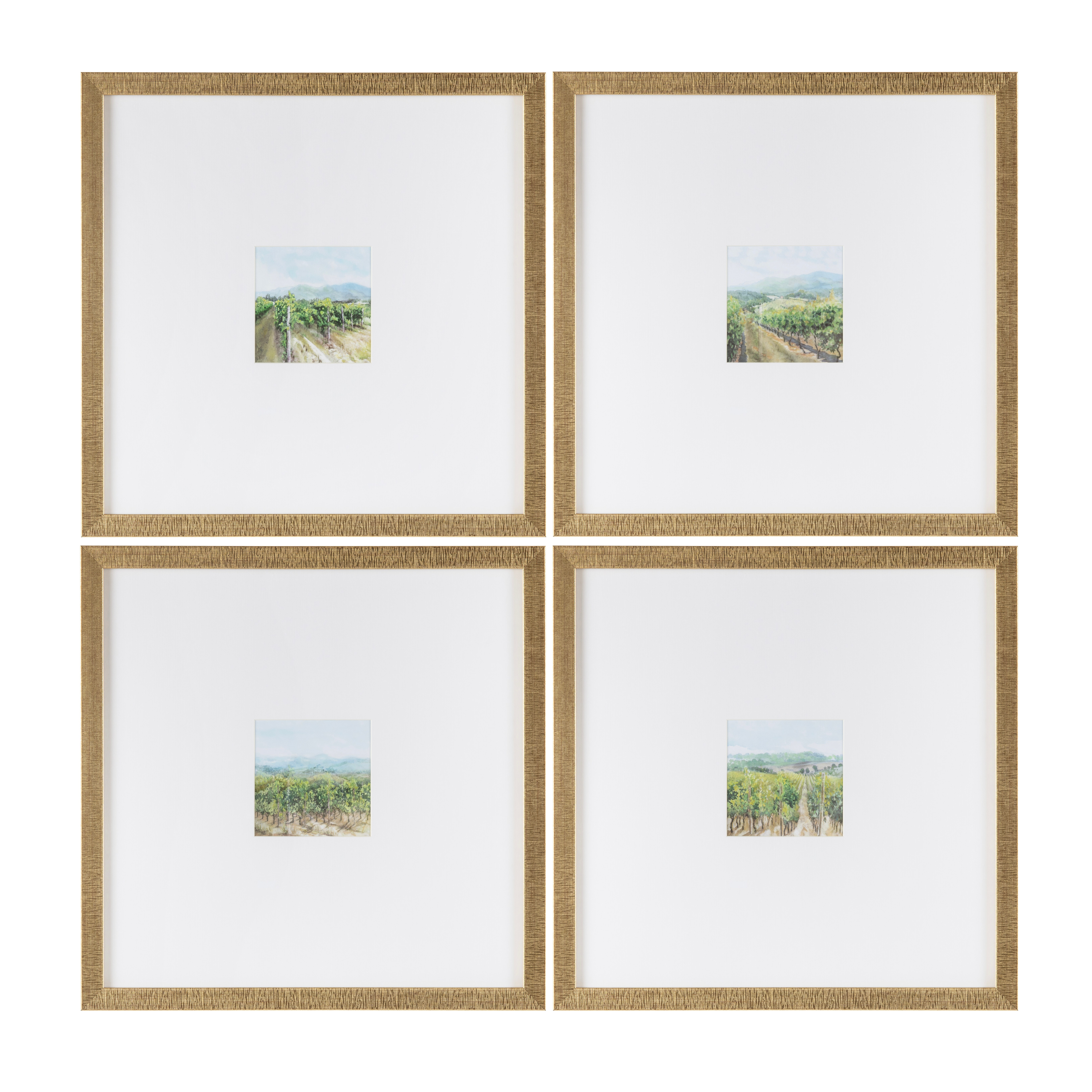 Vineyards CVTOP3306