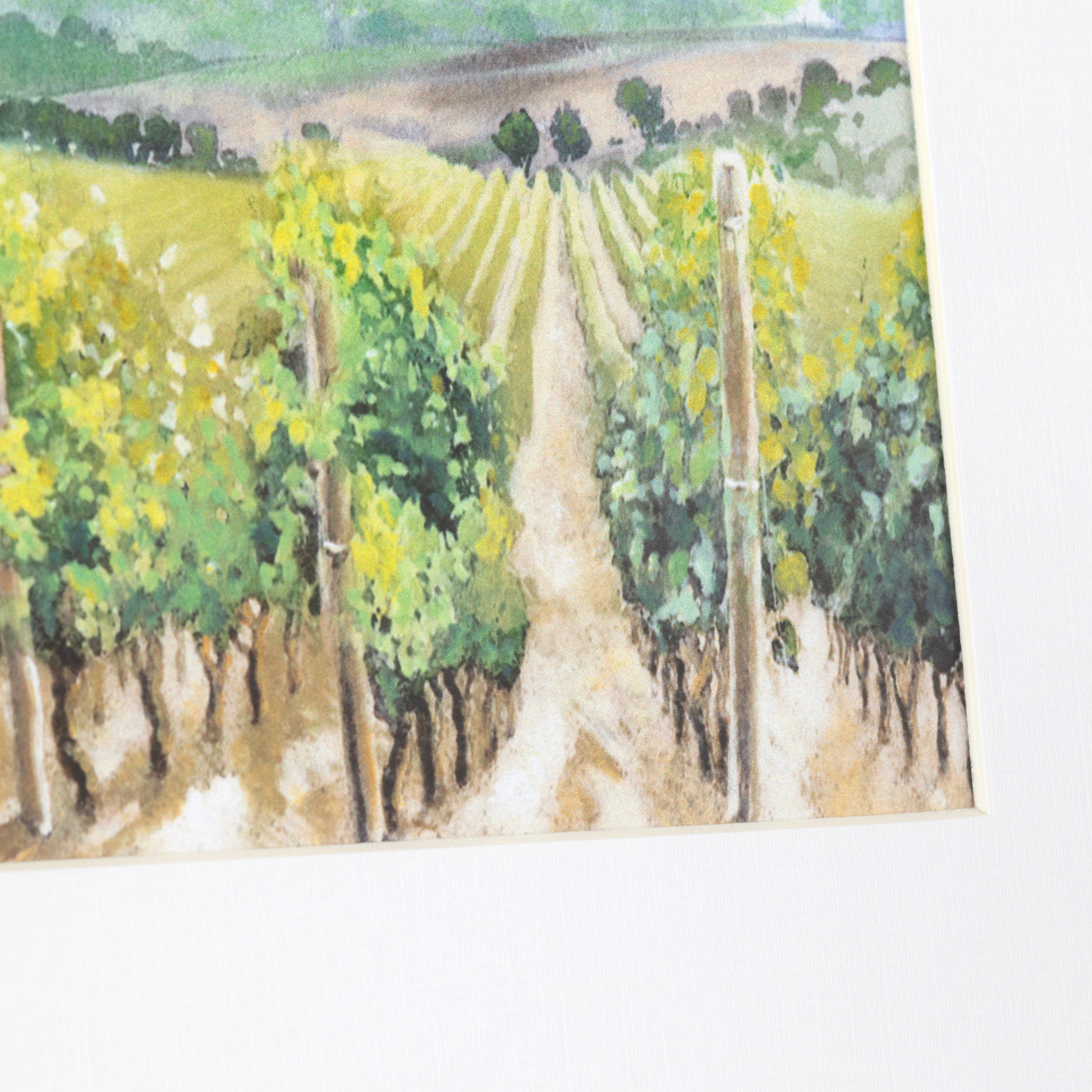 Vineyards CVTOP3306