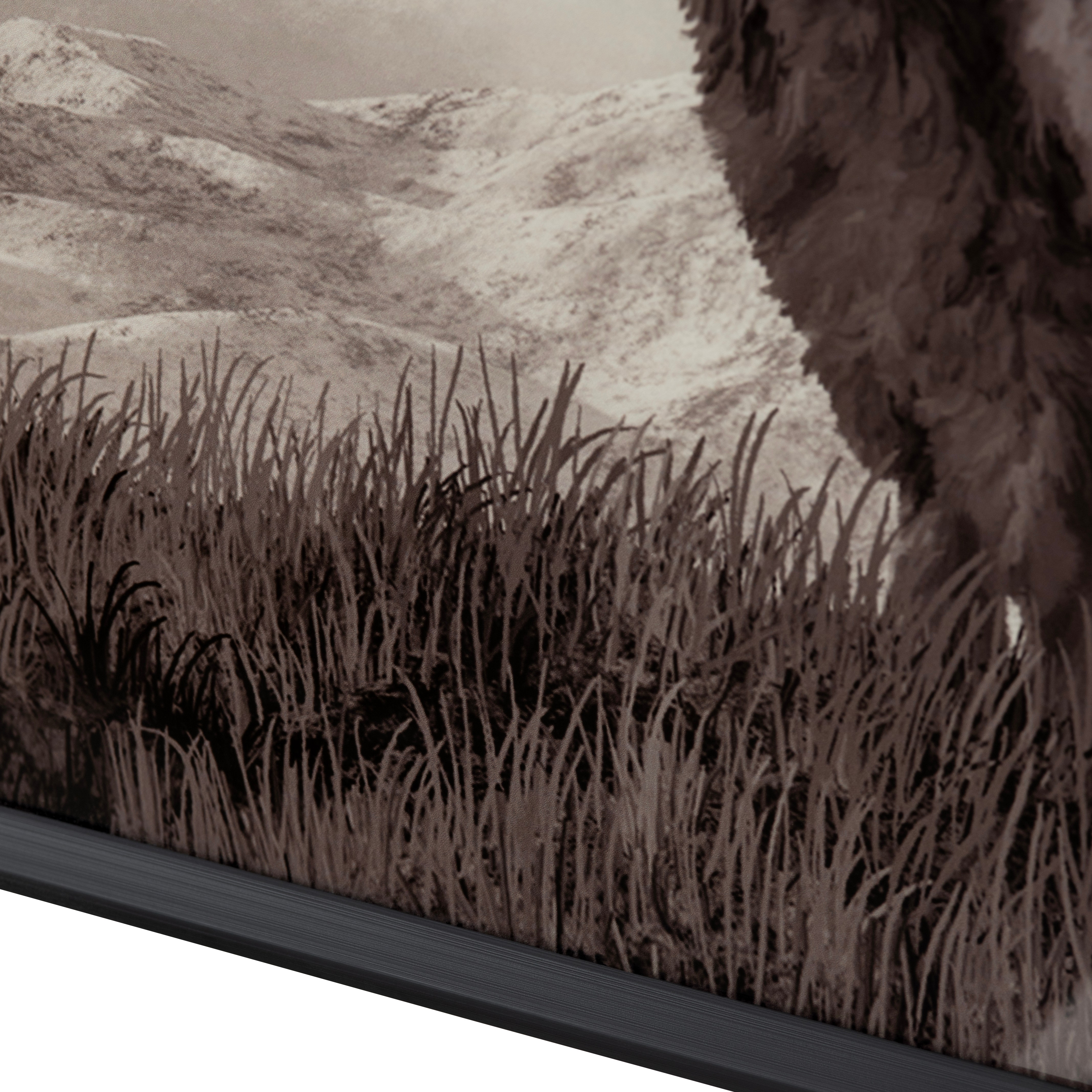 Bison Life CVTOP3315