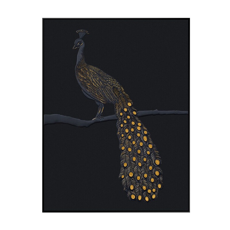 Tail Feathers CVTOP3523