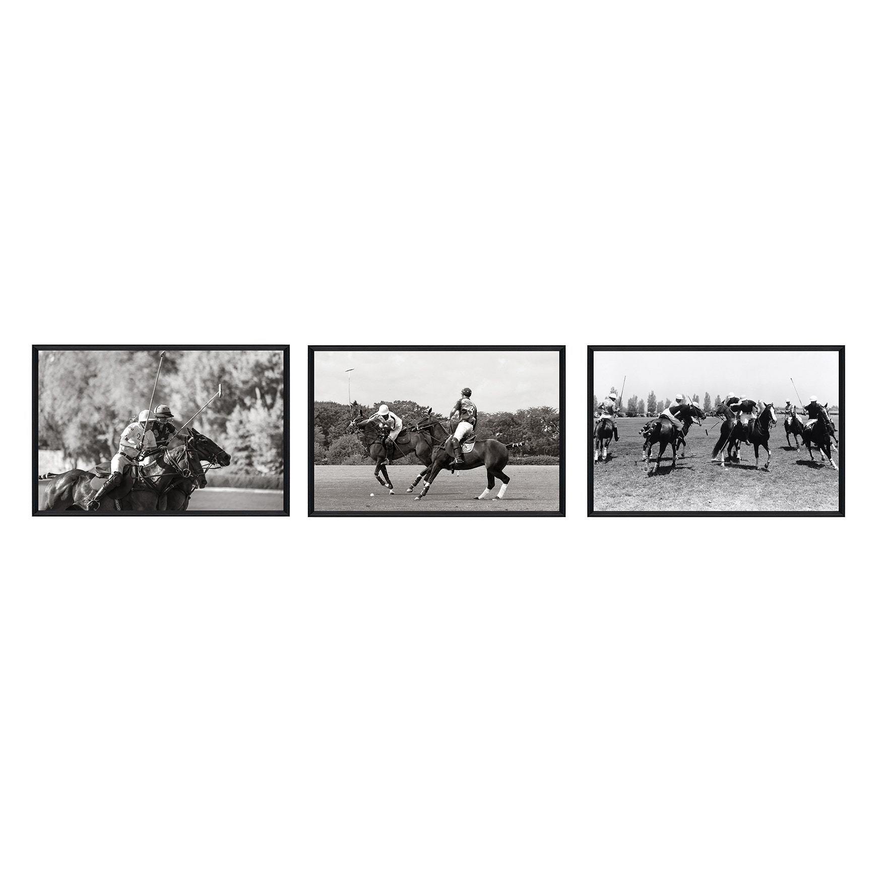The Art of Polo 1 CVTOP3574
