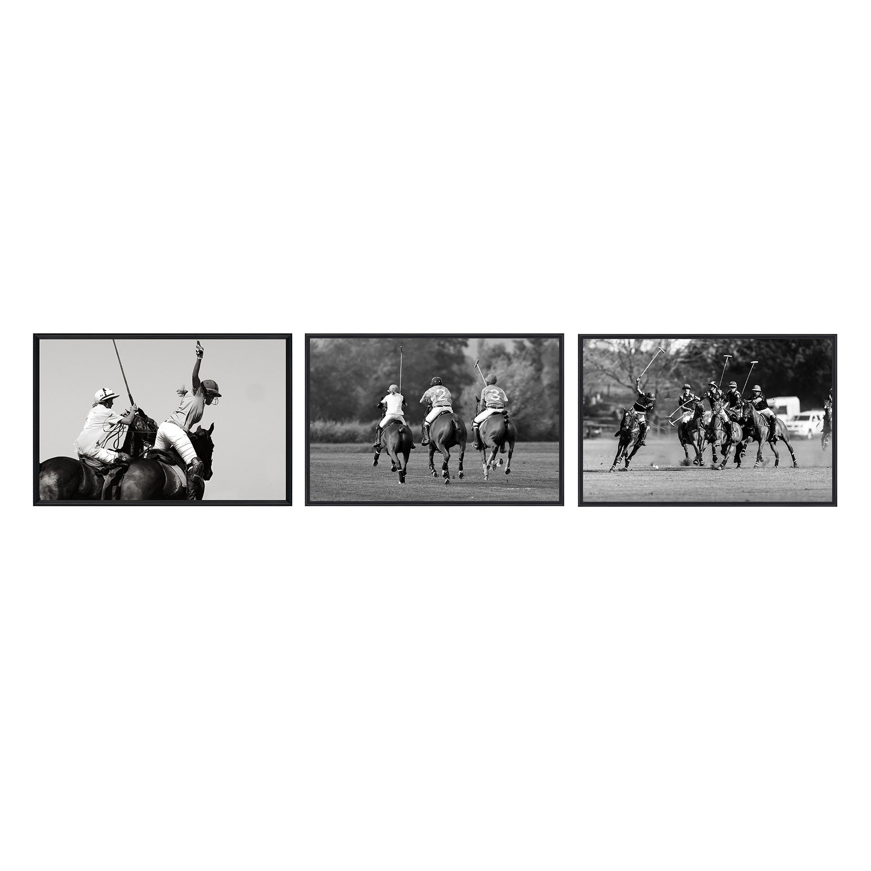The Art of Polo 2 CVTOP3575