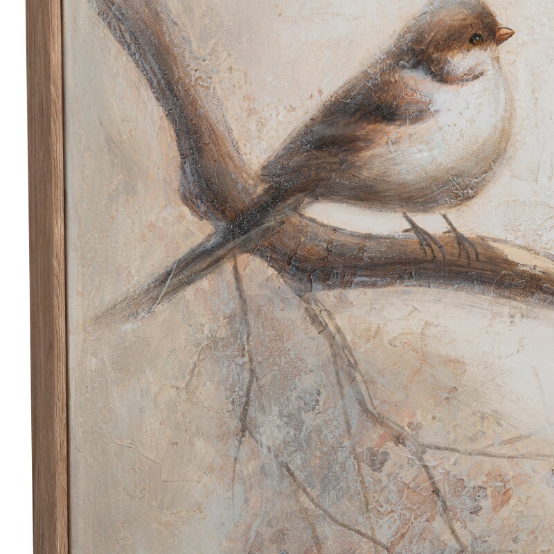 Feathered Friends CVTOP3580