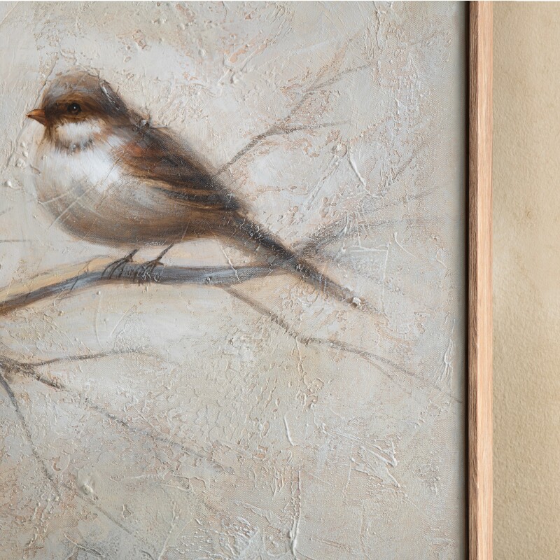 Feathered Friends CVTOP3580