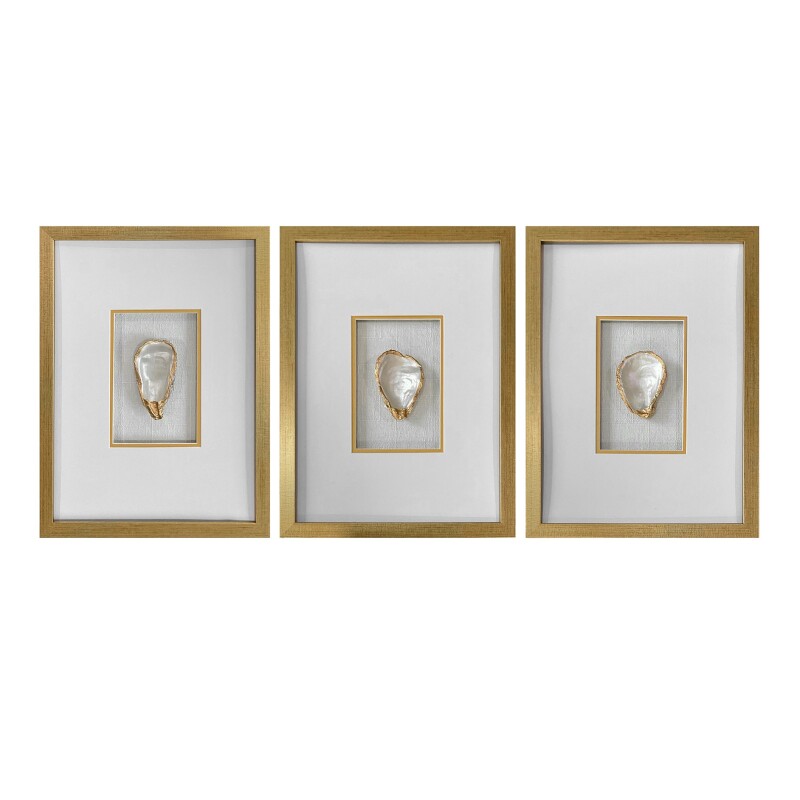 Golden Oysters CVTOP3651