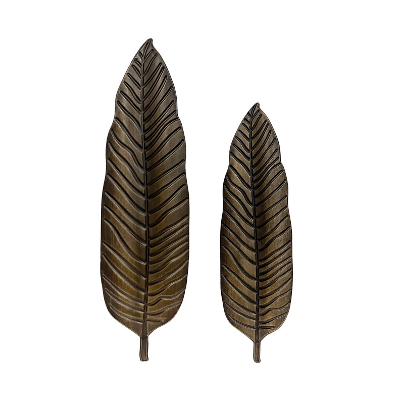 Feathers Up CVTWA1527