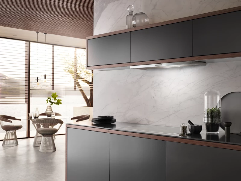 Built‑in ventilation hood with EasySwitch controls for convenient operation DAS2920