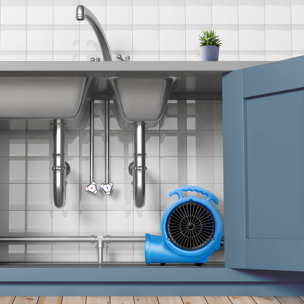 Air Mover Blower Fan 1/5 Hp In Blue DBSF02021UD51