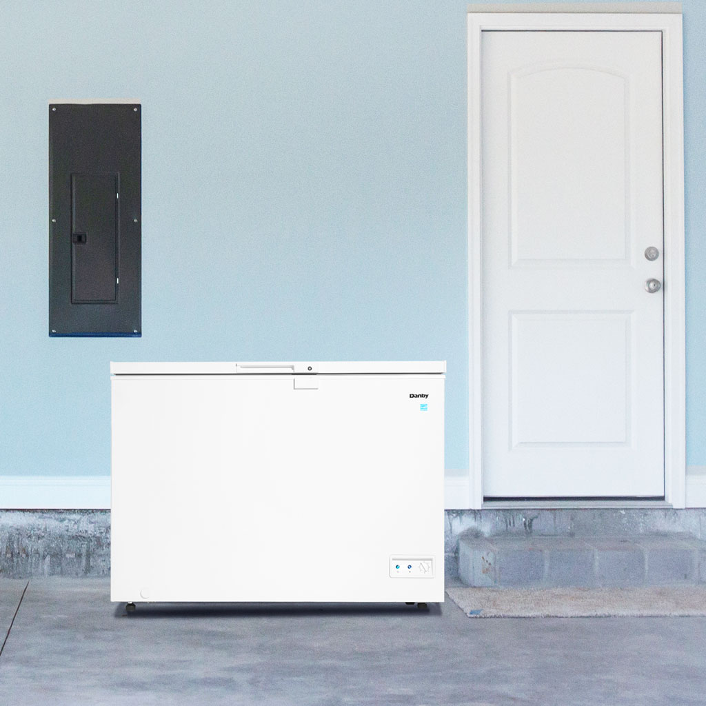 10.00 cu. ft. Chest Freezer DCF100A5WDB