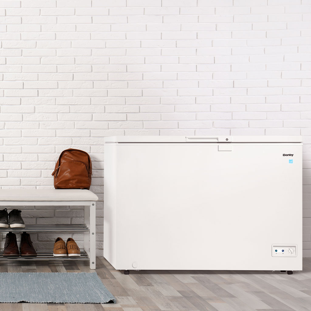 10.00 cu. ft. Chest Freezer DCF100A5WDB