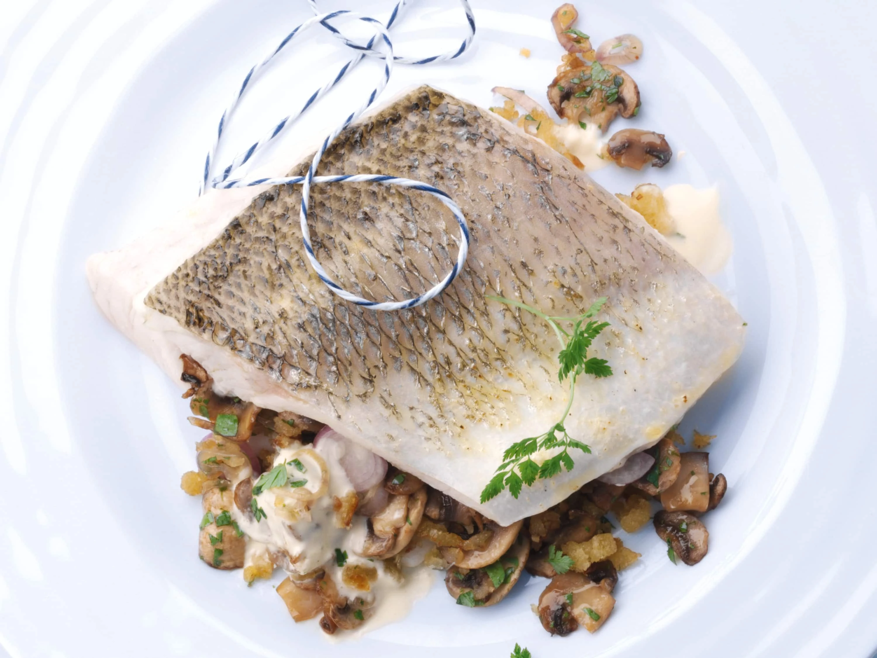 Fish/seafood