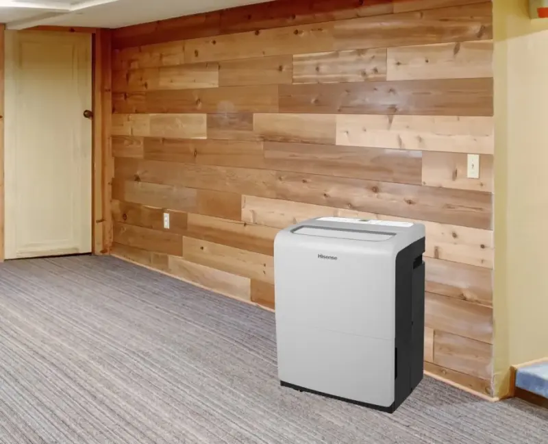 60-Pint Capacity, 1500 sq.ft. coverage, 3-Speed Inverter Dehumidifier with Buil DH10019TP1WG